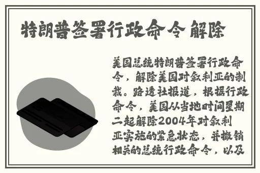 大战我的两个小䧅MBA内容简介