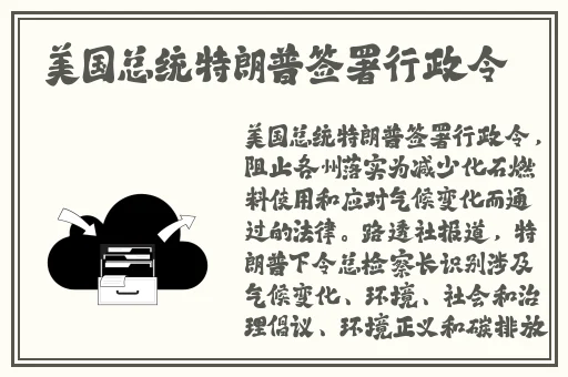 野花视频在线观看完整版最新6