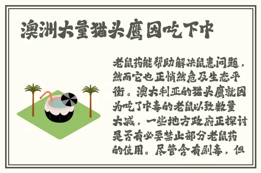 英语课代表好软免费高清视频