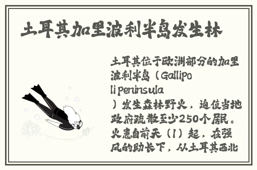 三国英雄传奇阵容